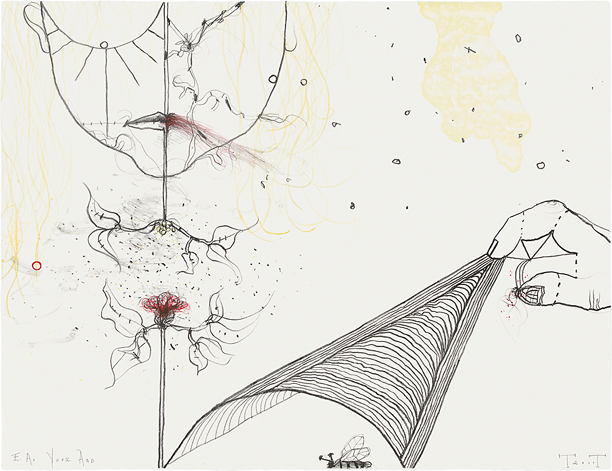 Litho Terry Thompson