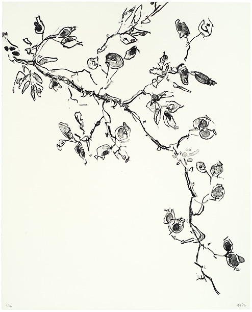 Litho Laurien Sneep