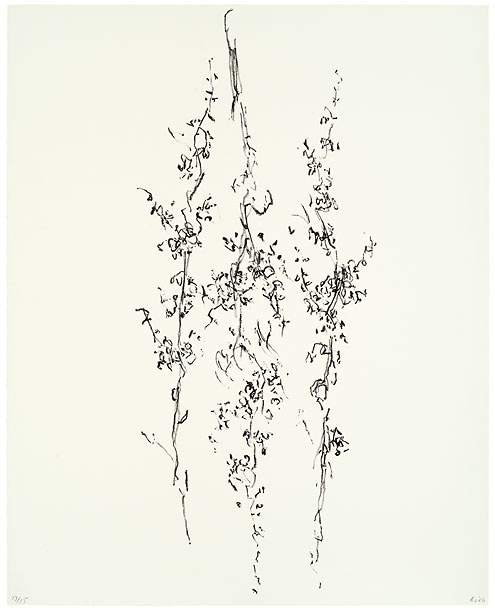 Litho Laurien Sneep